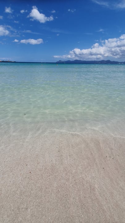 Strand allsun App.-Hotel Orquidea Playa