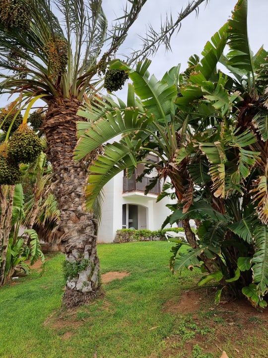 Gartenanlage Esencia de Fuerteventura