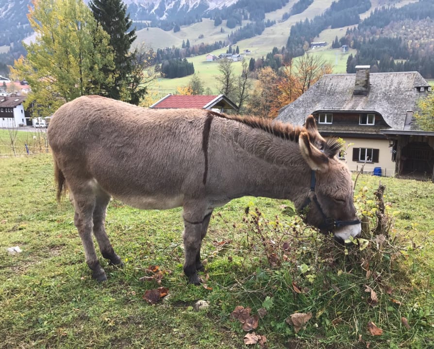 Sonstiges Oberjoch - Familux Resort