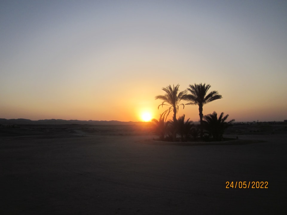 Ausblick The Oasis Dive Resort