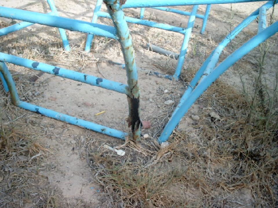 Ihre Kinder wollen spielen? Dar El Manara