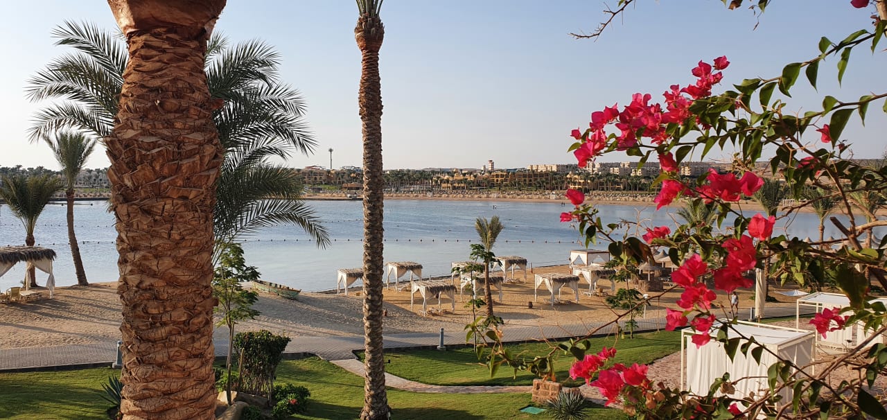 Ausblick Steigenberger Coraya Beach - Adults only