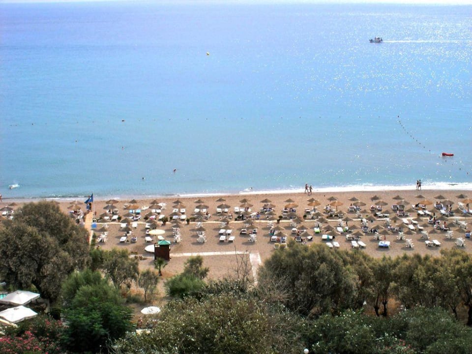 Blick auf den Strand Hotel Calypso Beach