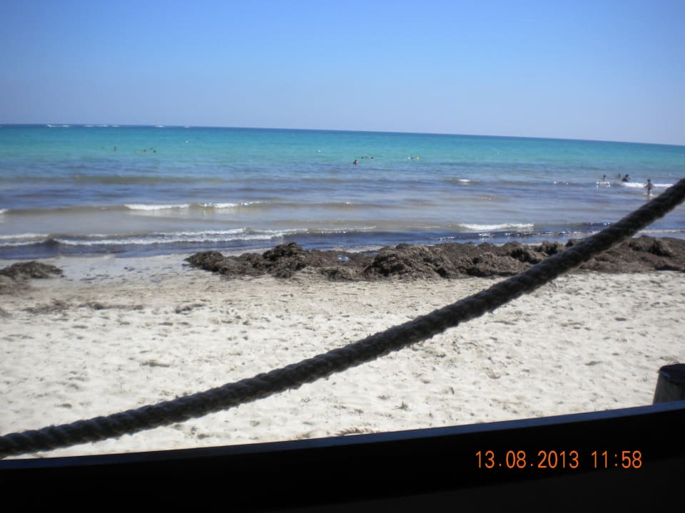 Berge aus Seegras trüben den Badespaß Djerba Aqua Resort