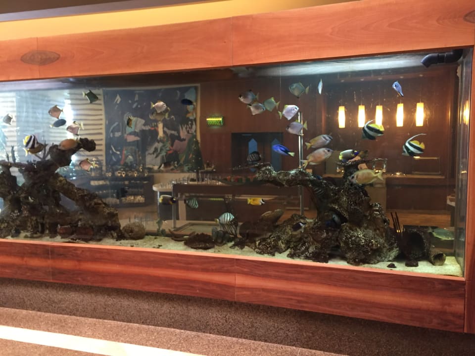 Lobby Gloria Serenity Resort