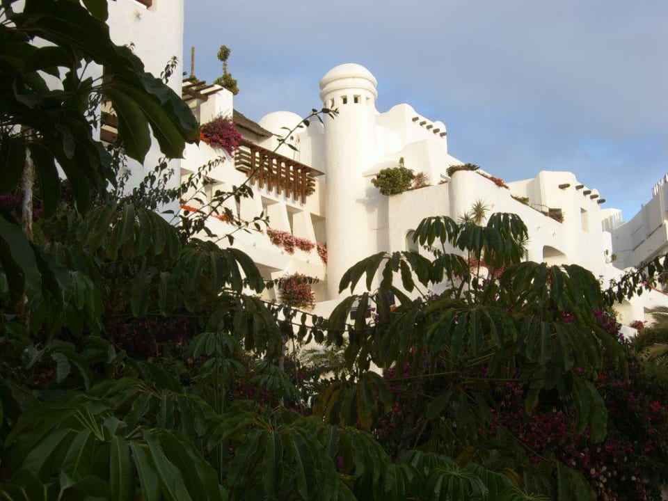 Traumhaft Dreams Jardín Tropical