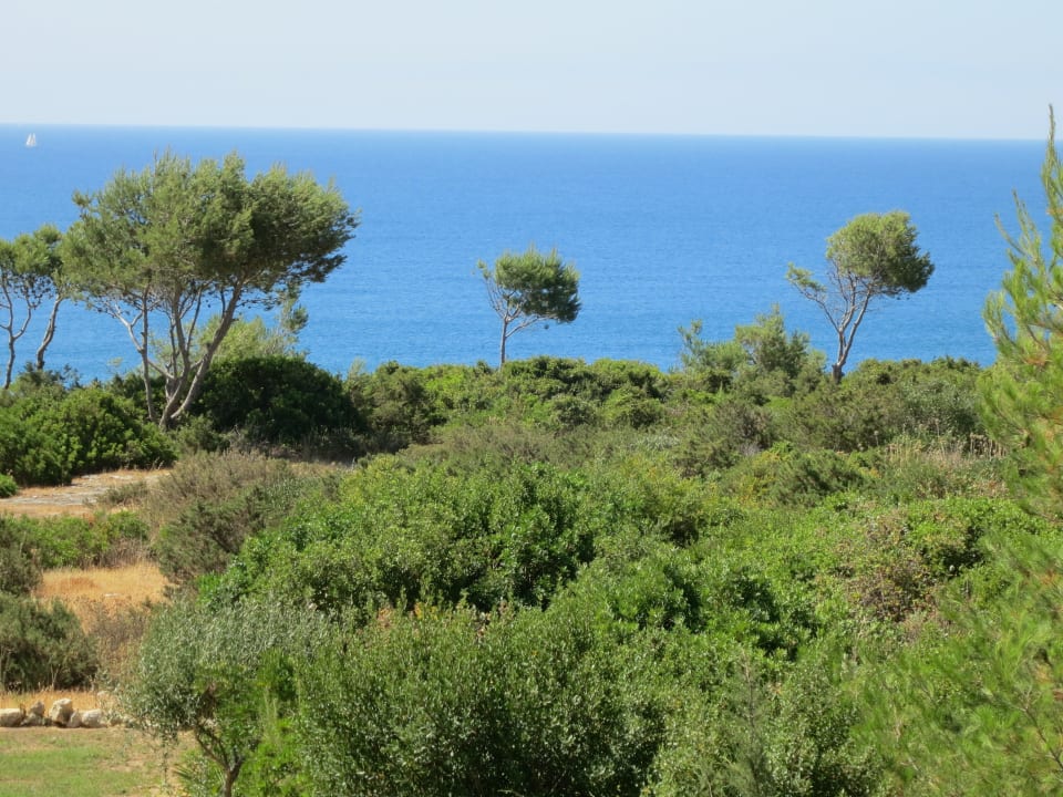 Garten Vila Alba Resort