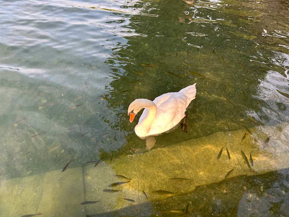 Außenansicht Seehotel Birkenhof