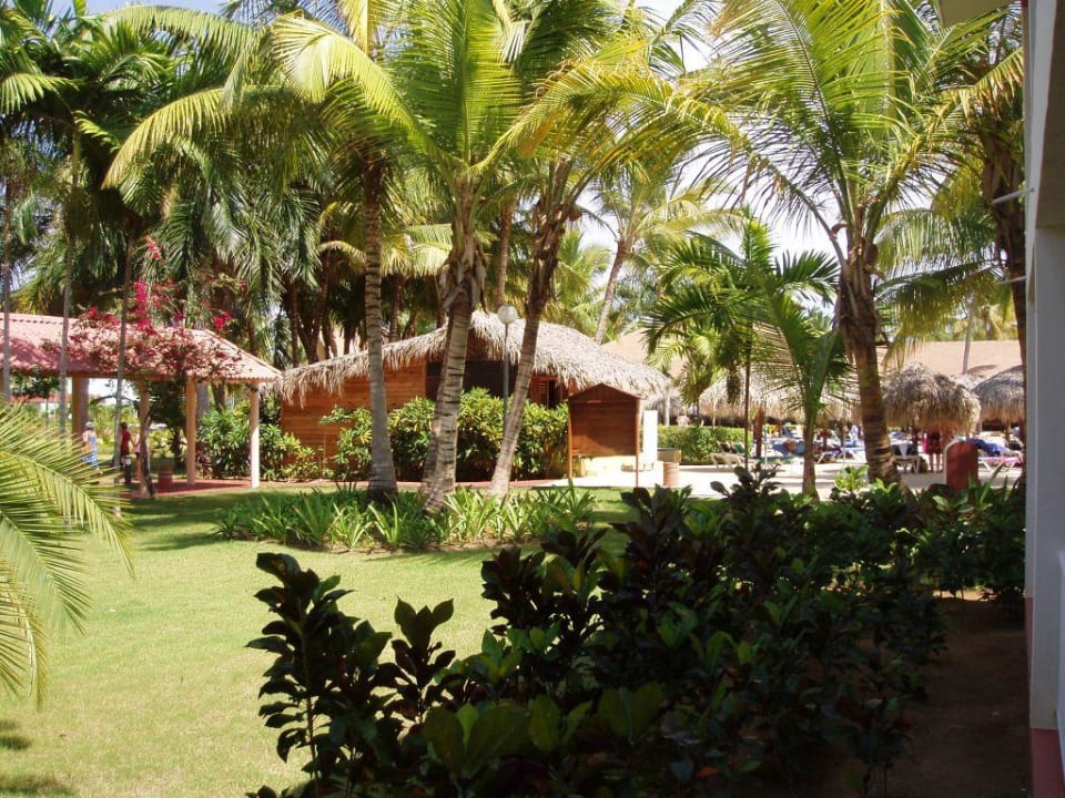 Widok z pokoju Grand Palladium Punta Cana Resort & Spa