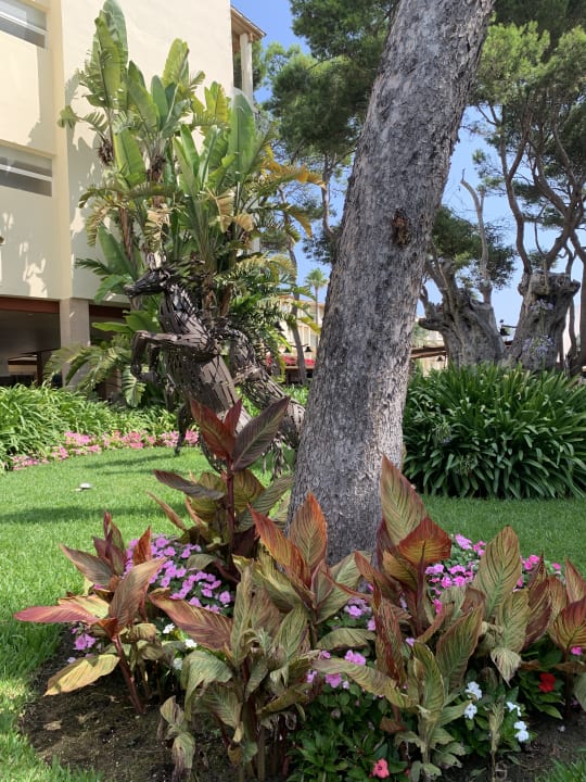 Gartenanlage Zafiro Bahia