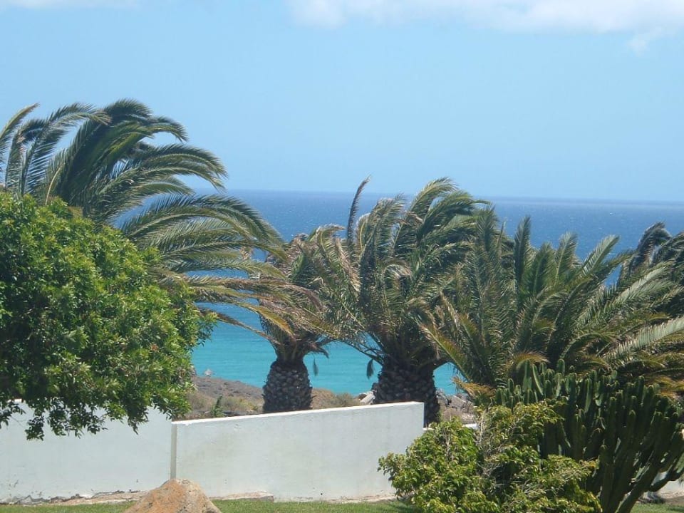 Blick aus Zimmer1027 allsun App.-Hotel Esquinzo Beach