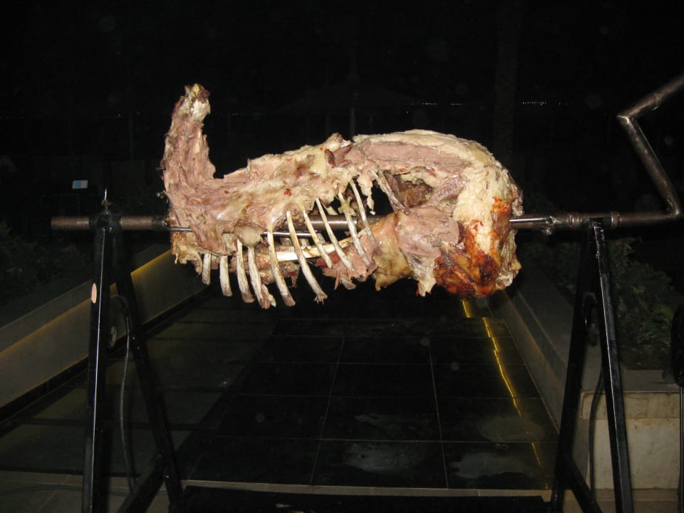 Gastro Beach Albatros Resort