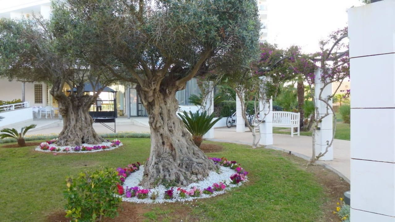 Anlage Hotel Cala Millor Garden - Adults only
