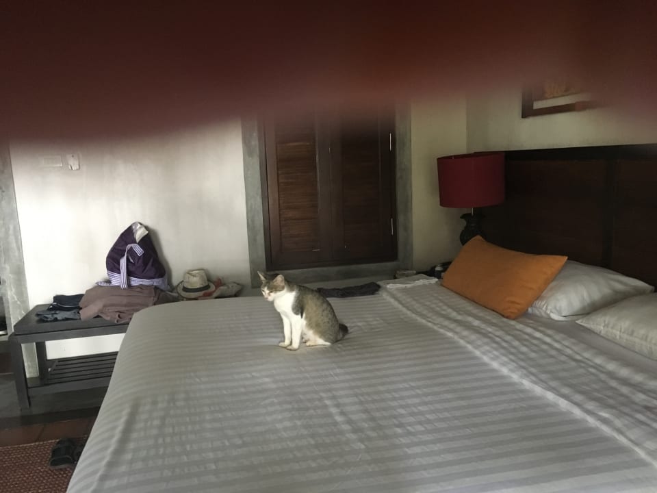 Zimmer Moracea by Khao Lak Resort