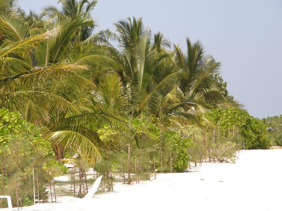 Bajeczne miejsce Summer Island Maldives