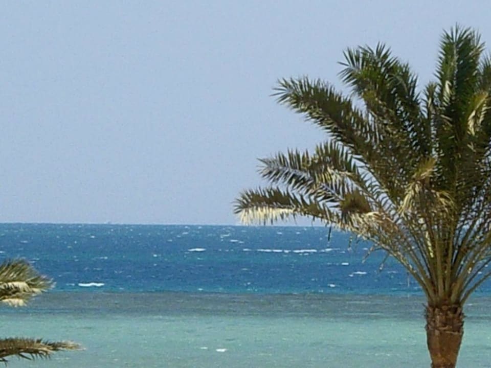 Aussicht aufs Meer Golden Beach Resort