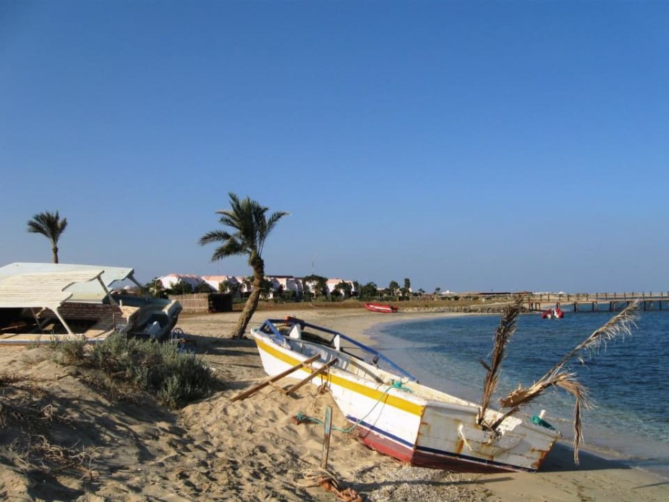 Strandbereich Tauchbasis Shams Alam Beach Resort