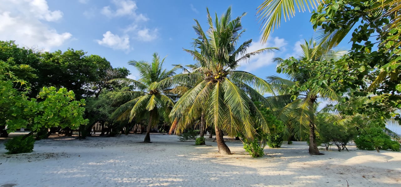 Gartenanlage Adaaran Select Meedhupparu Island Resort - Premium All Inclusive