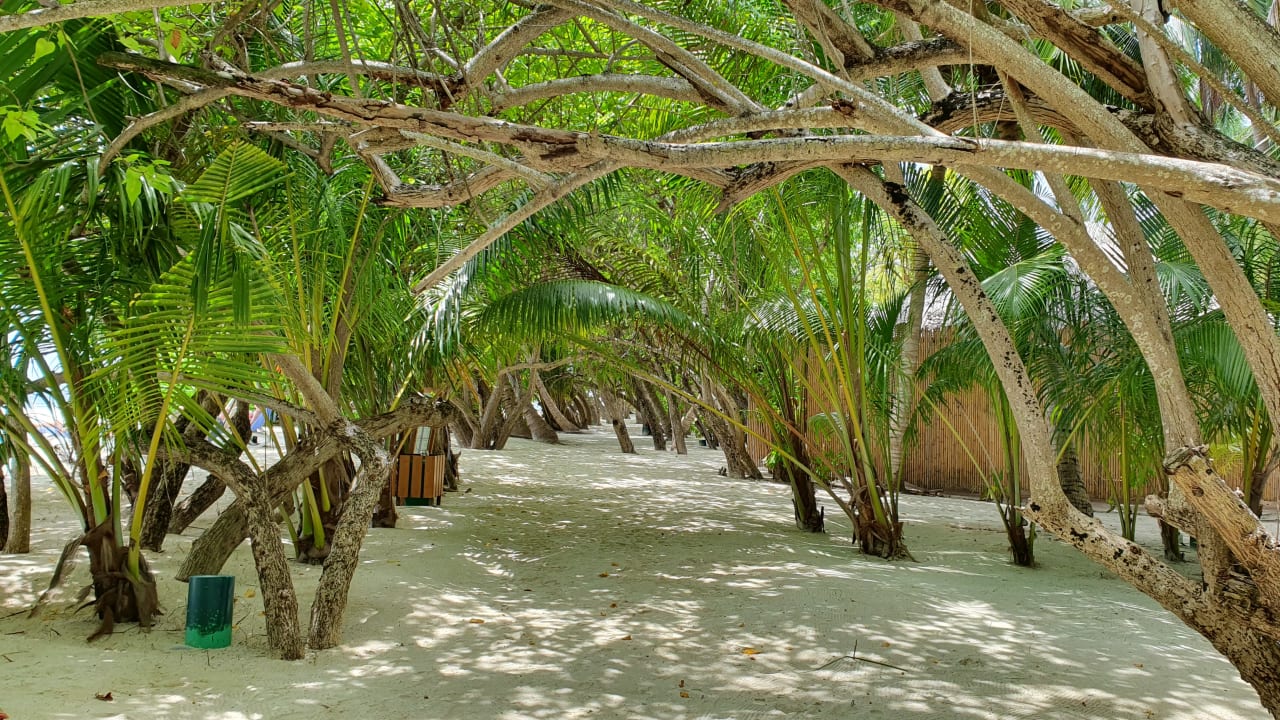 Gartenanlage Kuramathi Maldives