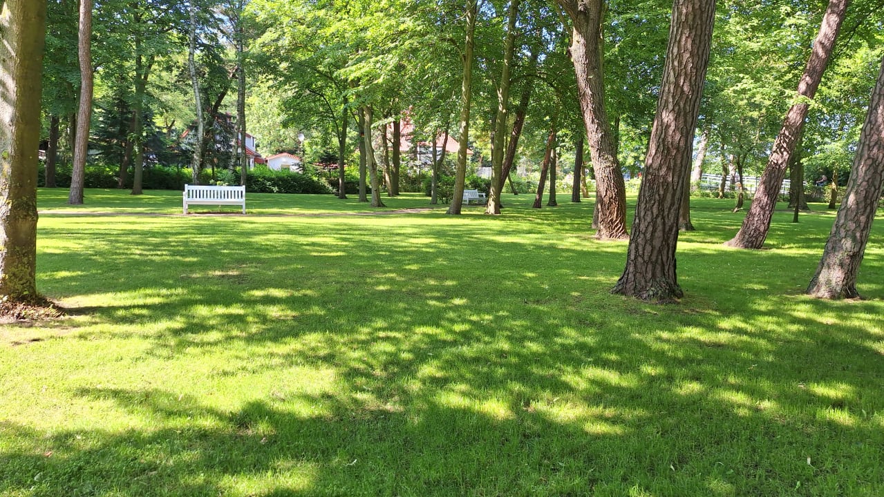 Gartenanlage Seehotel Großherzog von Mecklenburg