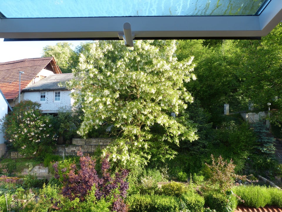 Blick aus dem Dachfenster Cross-Country-Hotel Hirsch
