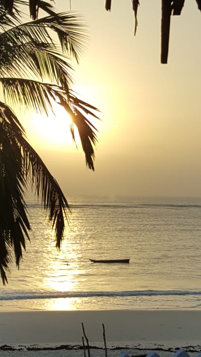 Ausblick vom Balkon Hotel Southern Palms Beach Resort