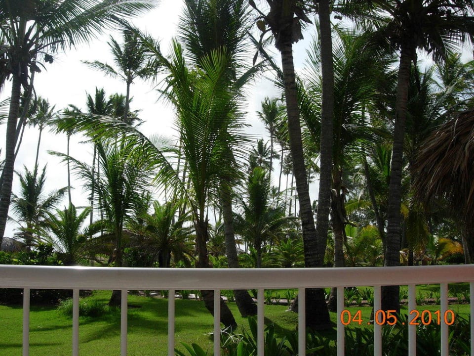 Ausblick auf das Meer Grand Palladium Select Bávaro Resort & Spa