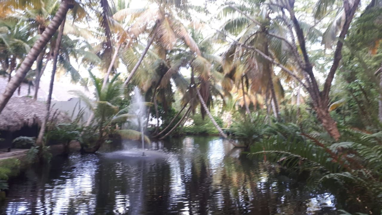 Gartenanlage Wyndham Alltra Samana