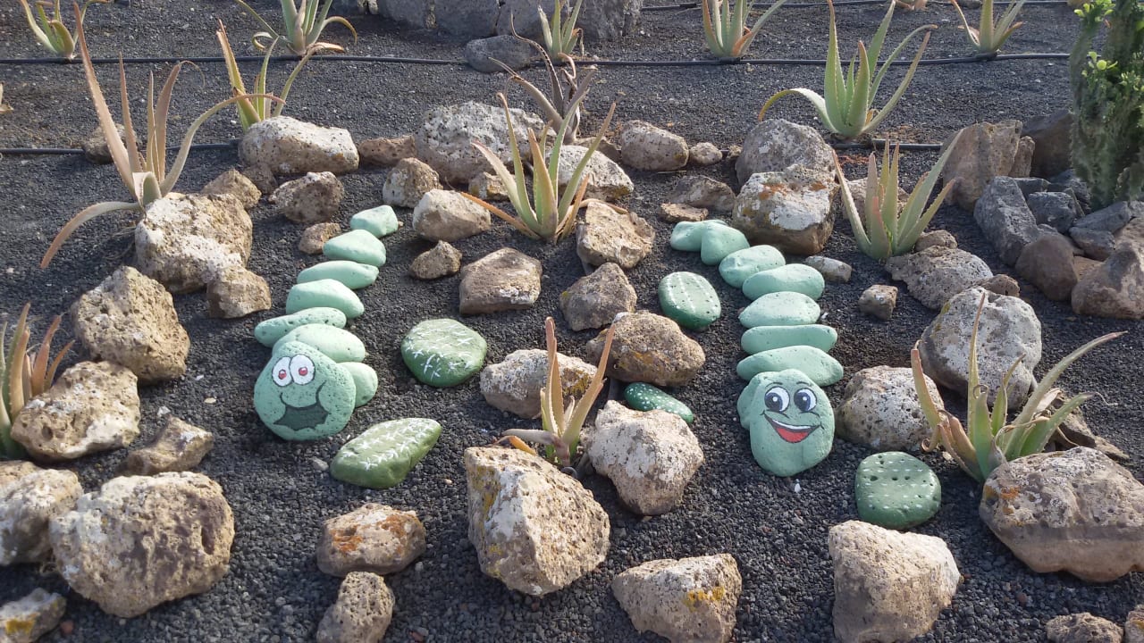 Gartenanlage VIK Villas Vista Mar