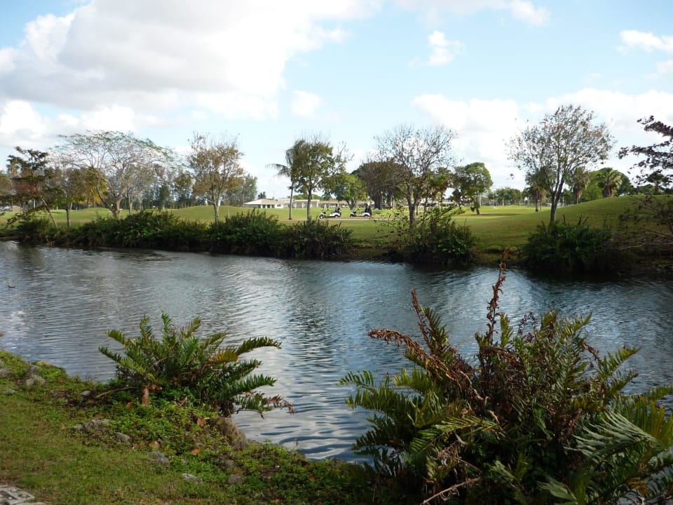 Ausblick von der Poolbar Hotel Sheraton Miami Airport & Executive Meeting Center