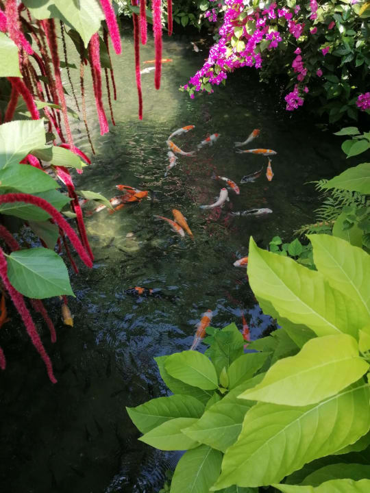 Gartenanlage Bamboo Village Beach Resort & Spa