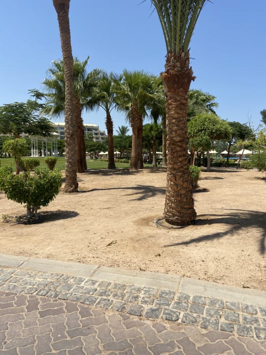 Gartenanlage Steigenberger Aqua Magic