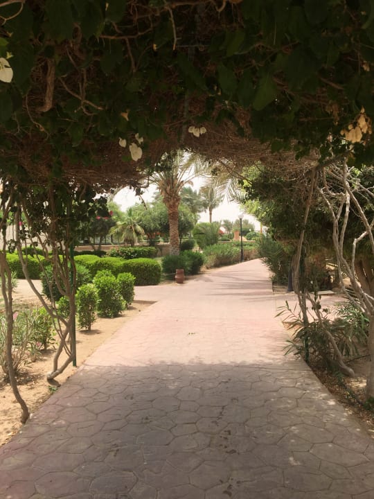 Gartenanlage Hurghada Long Beach Resort