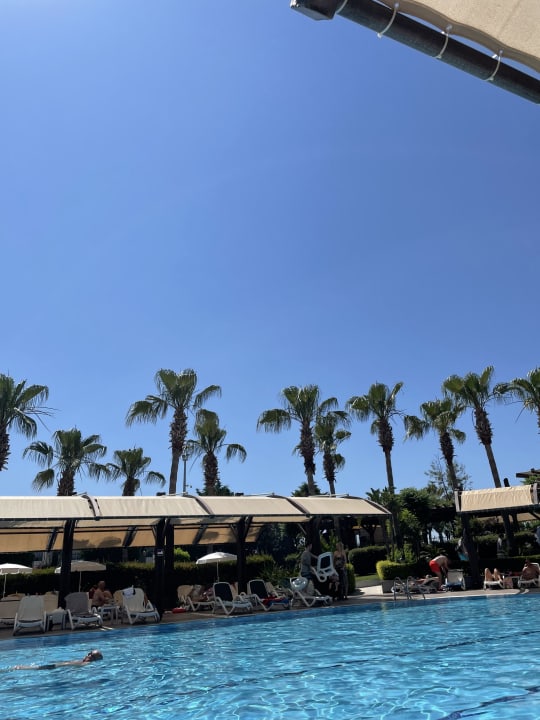 Pool Aydinbey Kings Palace & Spa