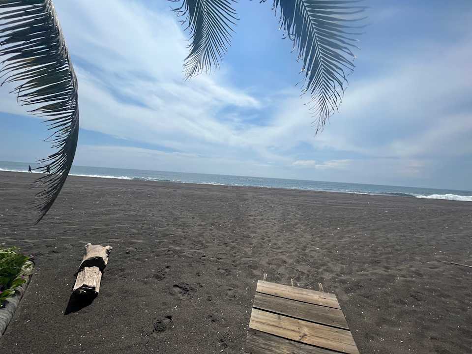 Strand Hotel Pez de Oro