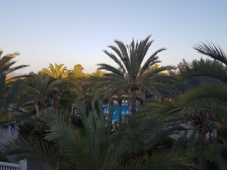 Pool Hotel Riu Palace Maspalomas Adults Only