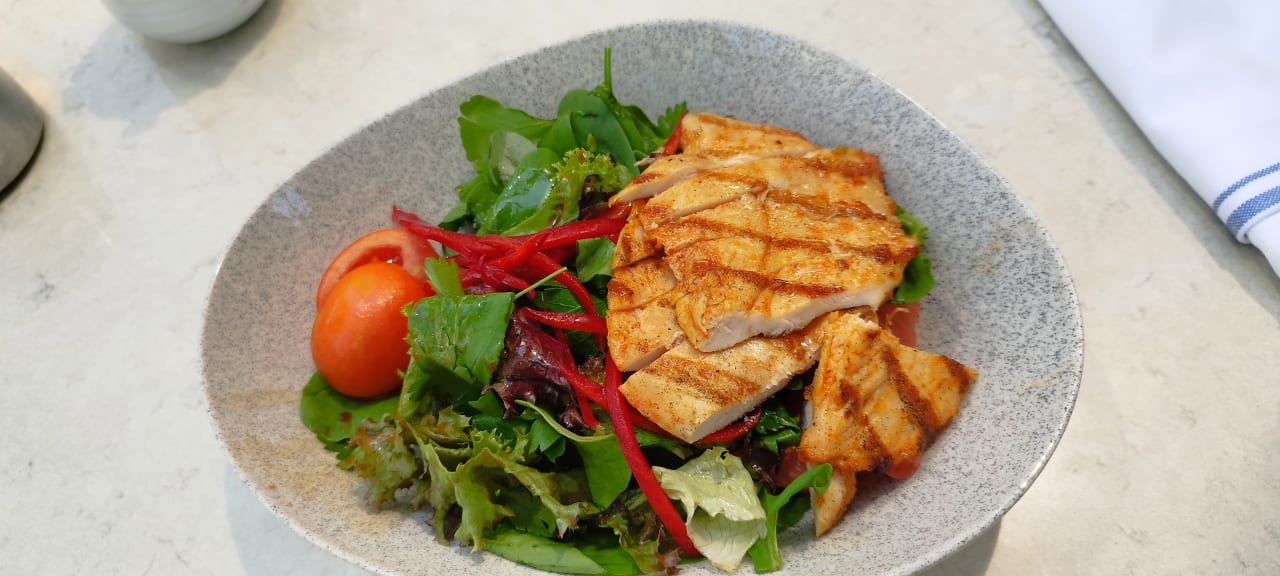 Gastro Acanthus Cennet Barut Collection