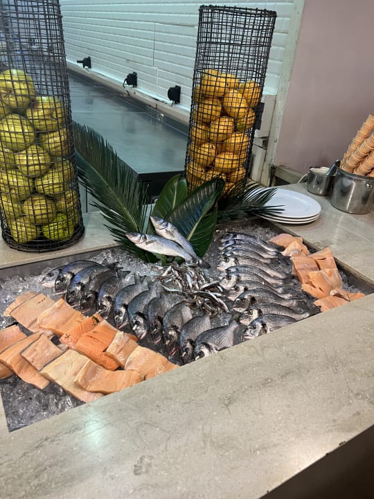 Gastro Balmy Foresta