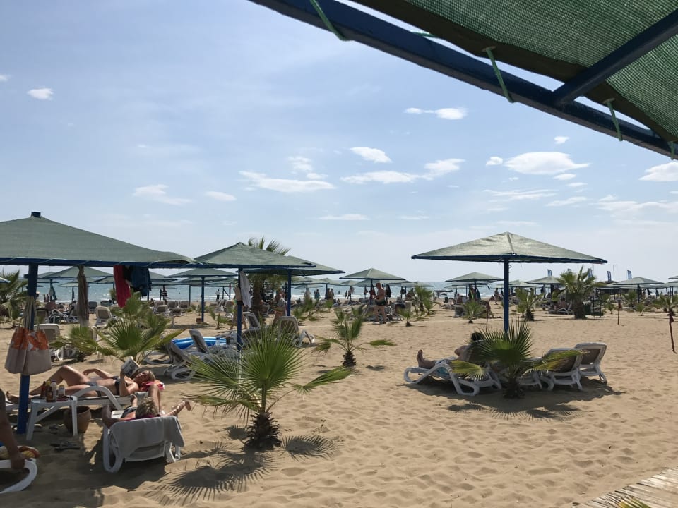 Strand Paloma Oceana