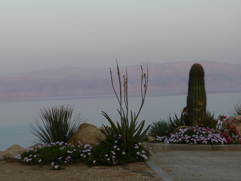 Abendstimmung am Toten Meer Ein Gedi Kibbutz Hotel