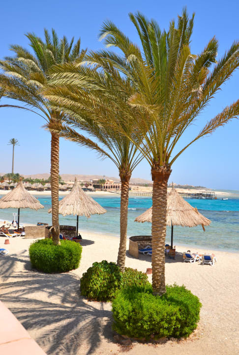 Blick zum Strand (Sommer 2013) Mövenpick Resort El Quseir