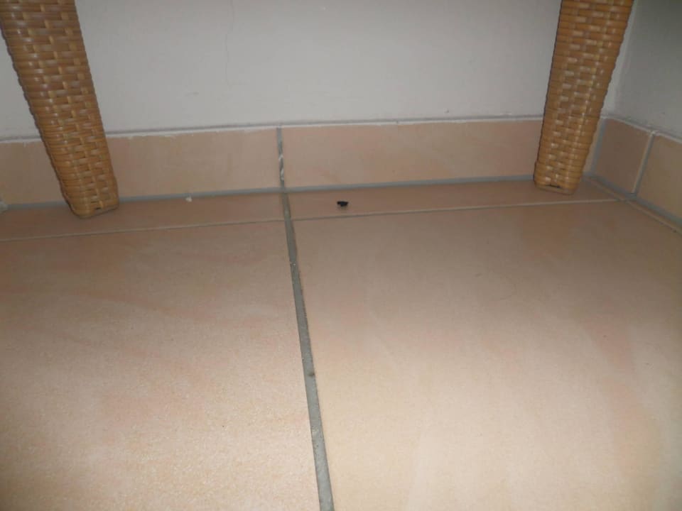 Dreckige Damenumkleide im Spa Hotel Palace Berlin