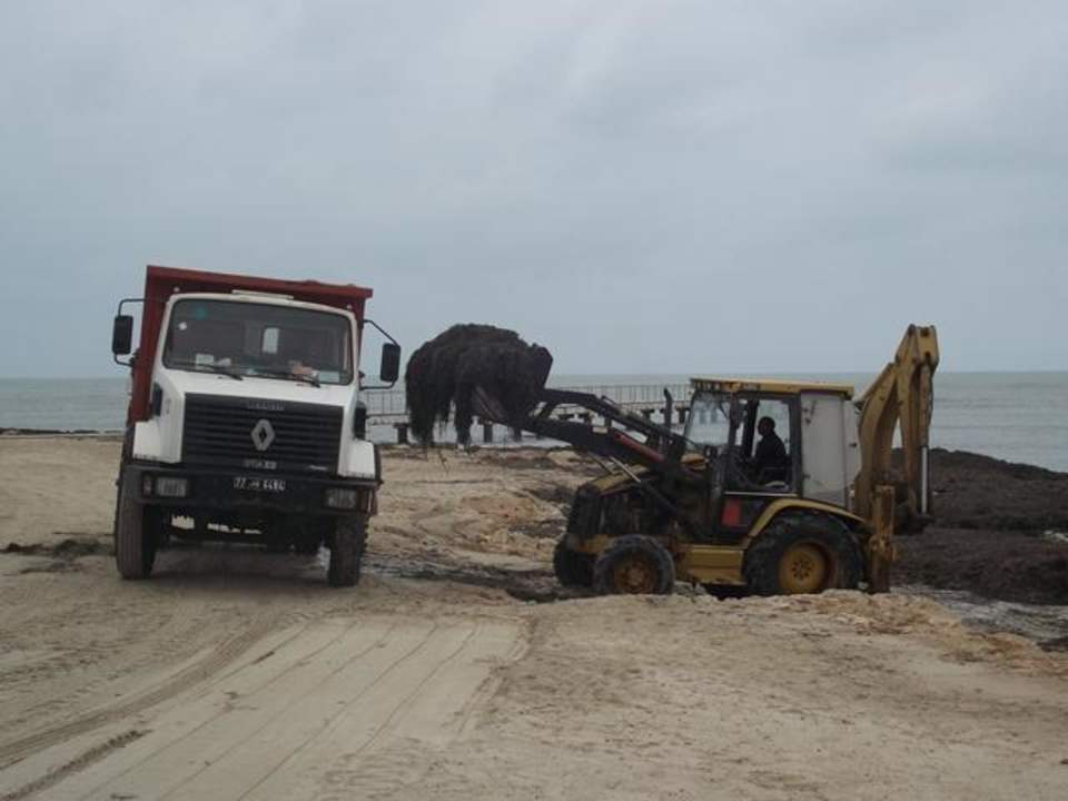 Seegrasverladung Hotel El Mouradi Djerba Menzel