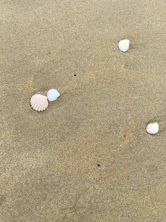 Strand ROBINSON NAM HOI AN