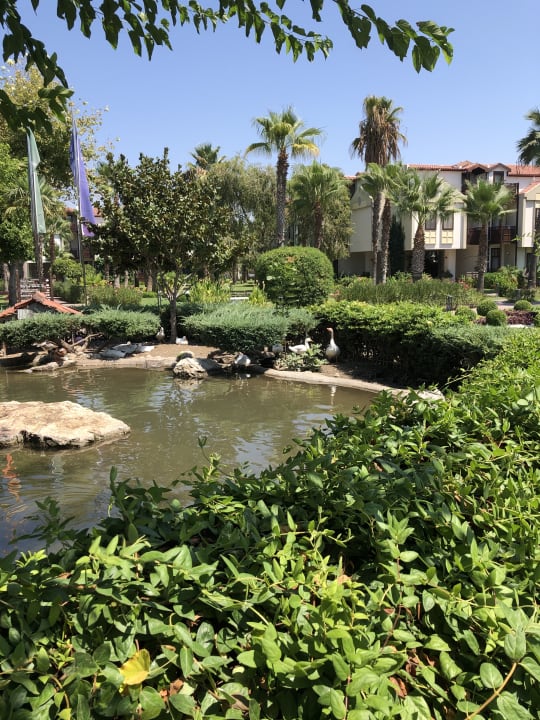 Gartenanlage Club Tuana Fethiye