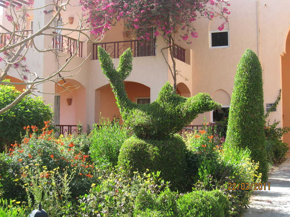 Garten Jaz Makadi Gardens - TUI BLUE Makadi Gardens - Adults Friendly 16 Years Plus