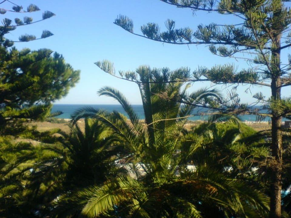 Zimmer mit Meerblick Hotel Aqua Meia Praia
