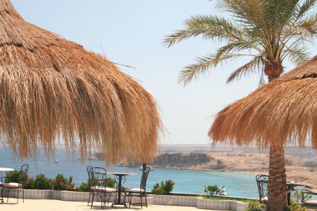Basen Albatros Sharm Resort