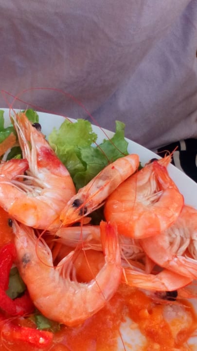 Gastro Be Live Tenerife - Adults only