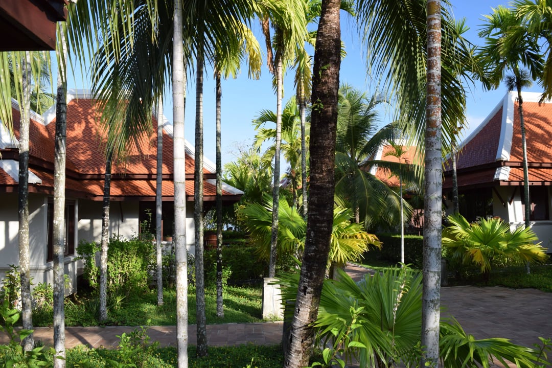 Blick von der Terrasse Khaolak Laguna Resort
